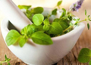 7 Medicinal Herbs for Winter Wellness