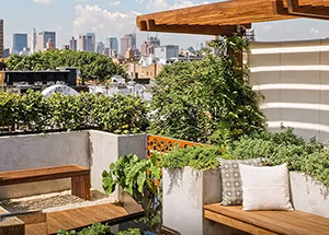 How To Create Your Own Terrace Garden