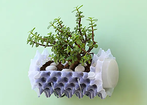 Did You Know That Planters Could Be Folded
