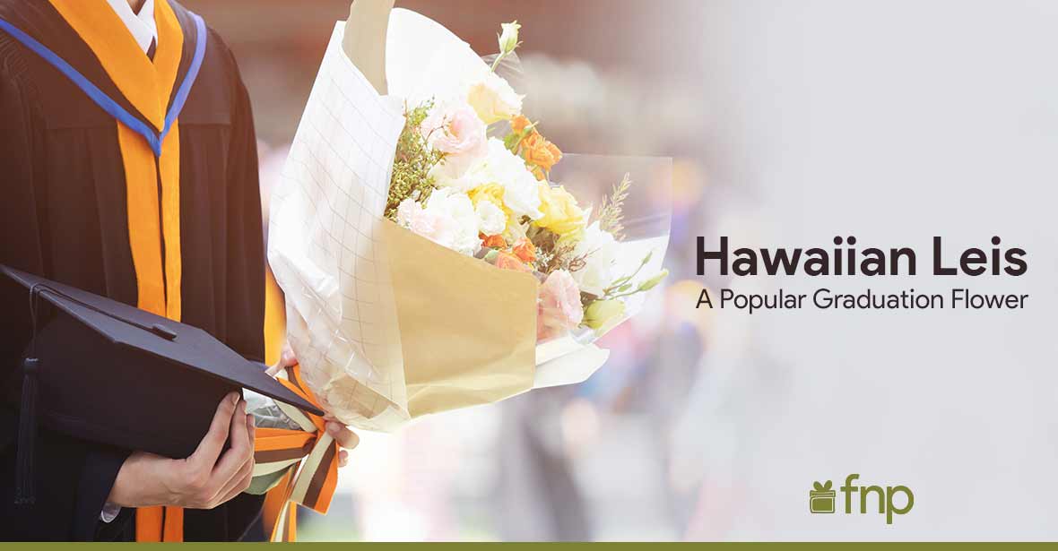 why hawaiian leis are ideal for graduation
