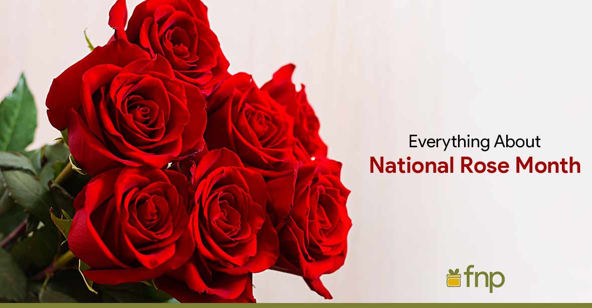 Celebrating National Rose Month