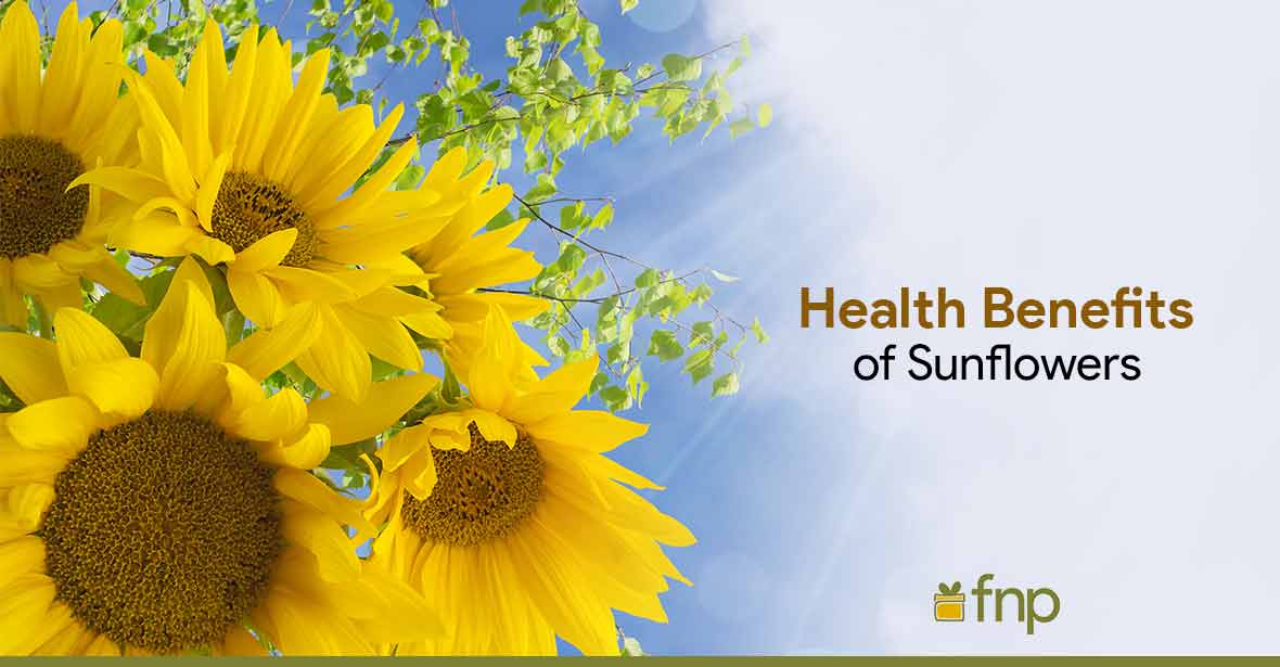 Benefits of Sunflower