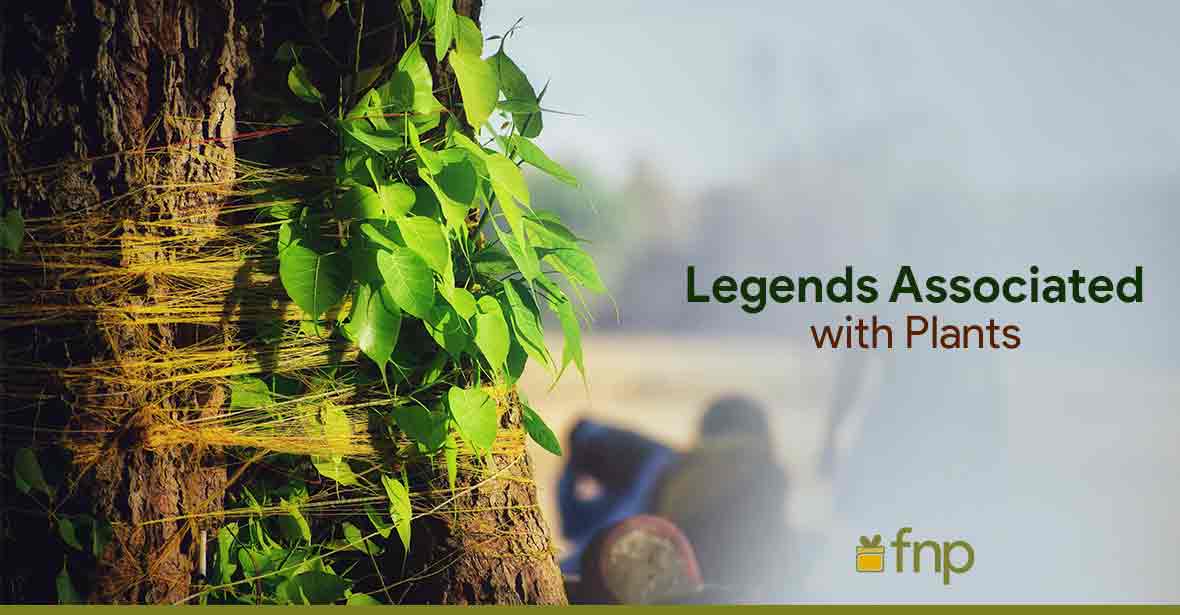 Legends and Folktales