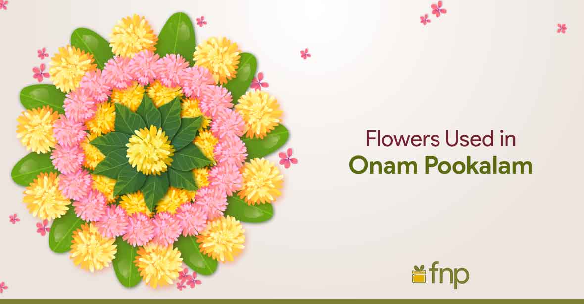 Special Flowers Used in Onam Pookalam