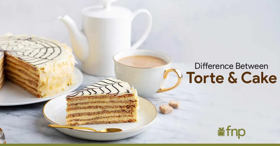 is torte the same thing as cake