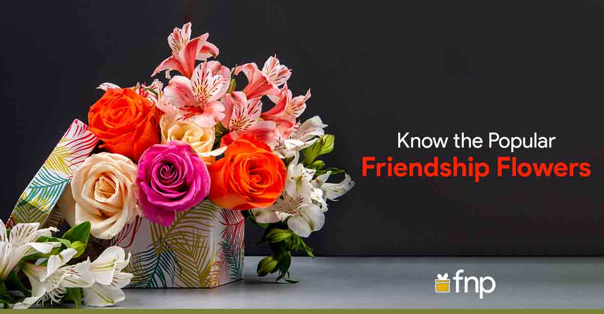 know the popular friendship flowers