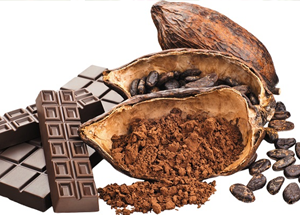 Journey of Cocoa to Chocolate