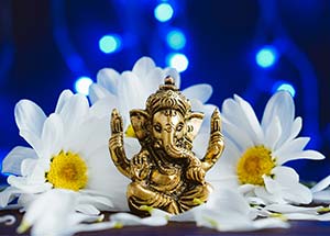 10 Flowers for 10 Days of Ganesh Chaturthi