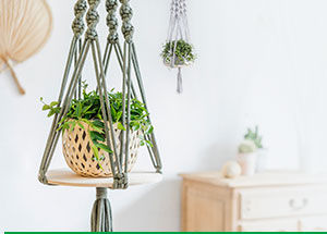 What are the Best Plants for Hanging Planters?