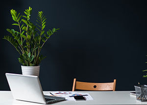 plants for the workplace