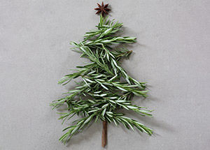 most loved christmas herbs