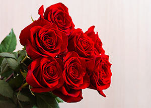 origins of national rose month