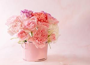 are carnation flowers really edible