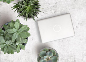 What are the Benefits of having Desktop Plants?