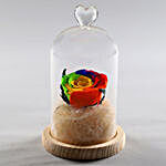 Forever Mystic Rainbow Rose In Glass Dome