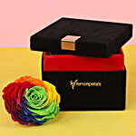 Forever Rainbow Rose in Black Velvet Box Big