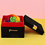 Forever Rainbow Rose in Black Velvet Box Big
