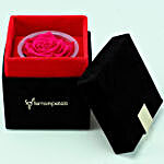 Hot Pink Forever Rose in Velvet Box