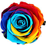 Mystic Forever Rainbow Rose in Velvet Box