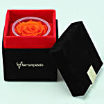 Orange Flame Forever Rose in Velvet Box