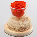 Forever Orange Flame Rose in Glass Dome