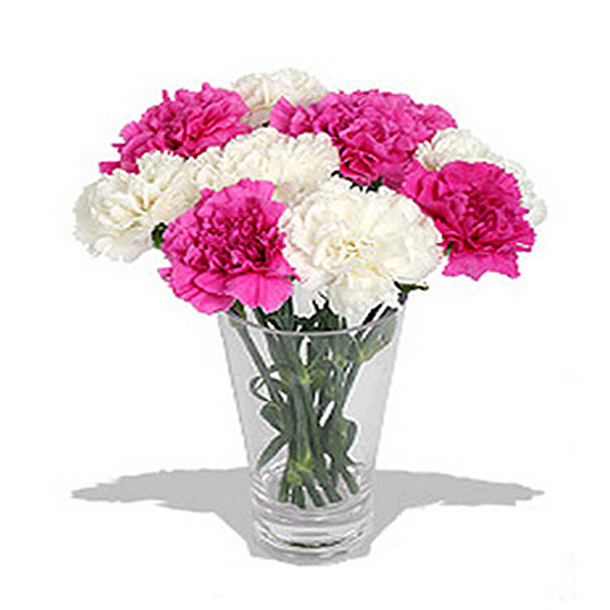 10 Pink n White Carnations in Vase