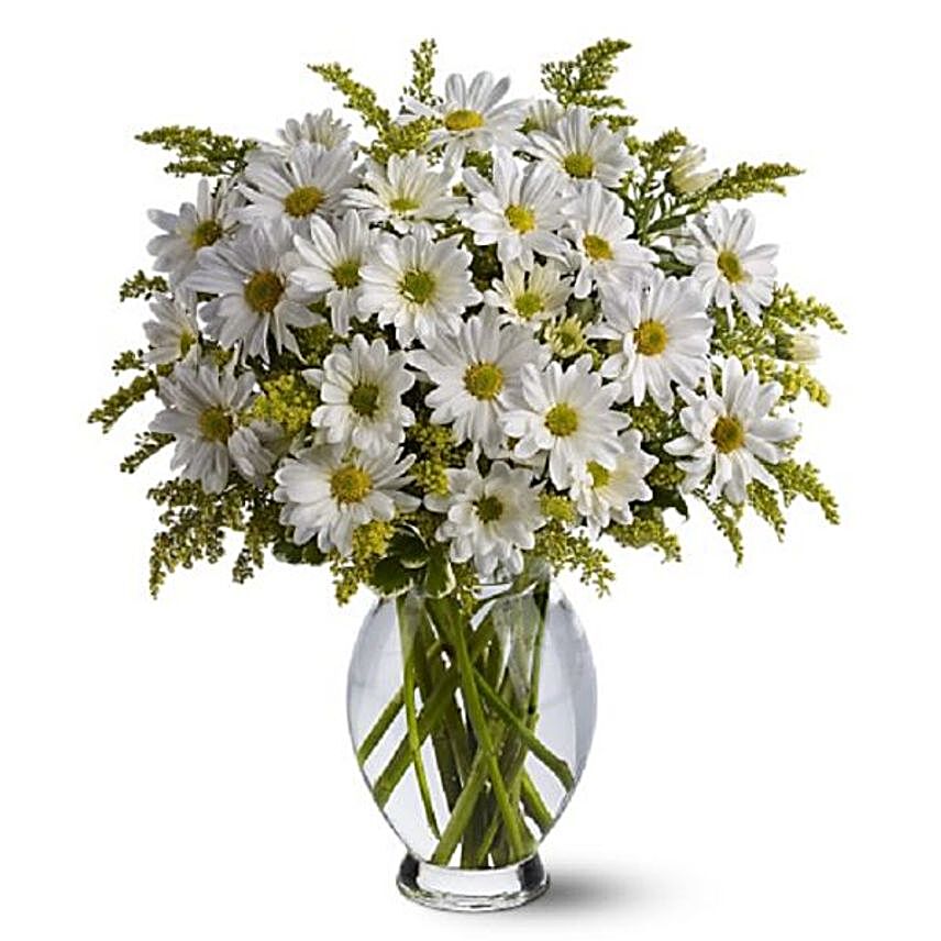 Serene White Daisies Vase