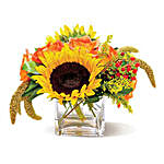 Country Sunflowers CND