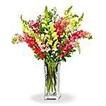Colourful Mixed Snapdragons Vase
