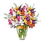 Colourful Mixed Alstroemeria Vase