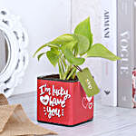 Money Plant In Lucky To Have You Glass Pot Hand Delivery