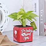 Money Plant In Lucky To Have You Glass Pot Hand Delivery