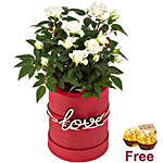 White Roses In Love Pot And Chocolates