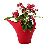 Flower Pot Love Gift