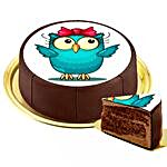Motif Cake Owl