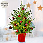 Holiday Wishes X Mas Tree