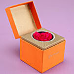 Hot Pink Forever Rose in Orange Box