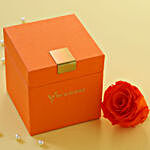 Orange Flame Forever Rose in Orange Box