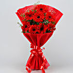 Red Elegance Gerbera Blossoms