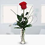 Romantic Red Rose Vase