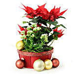 Christmas Bowl Floral Arrangement