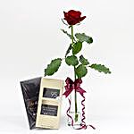 Red Rose And Chocolate Christmas Combo