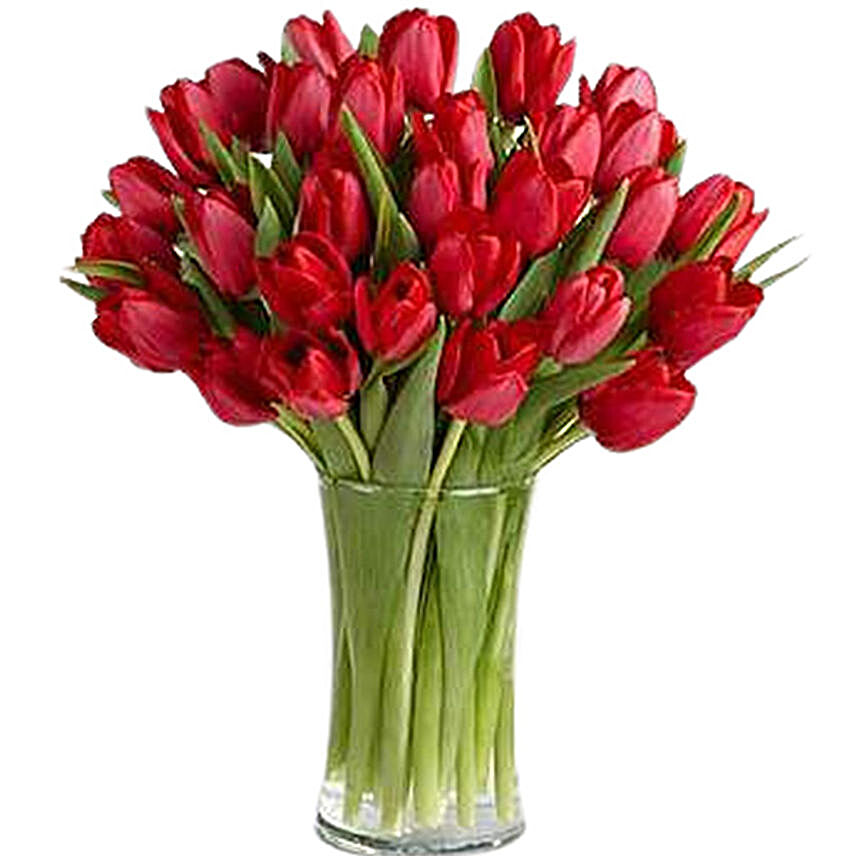 Premium Red Tulip Vase Arrangement