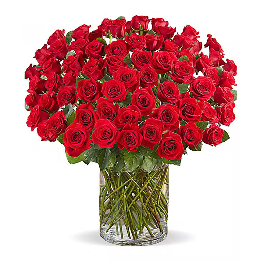 Ravishing 100 Red Roses In Glass Vase