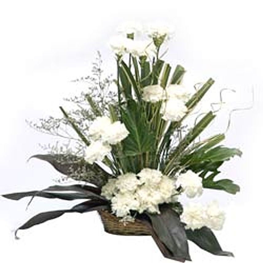 Peaceful 20 White Carnations Basket