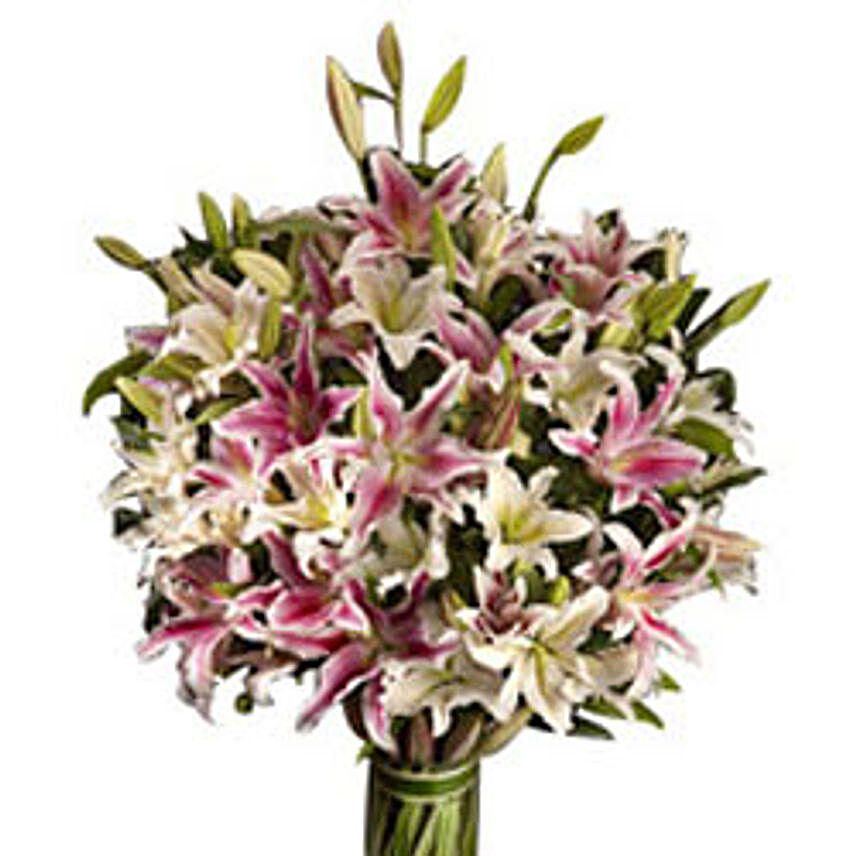 20 White & Pink Lilies Bunch
