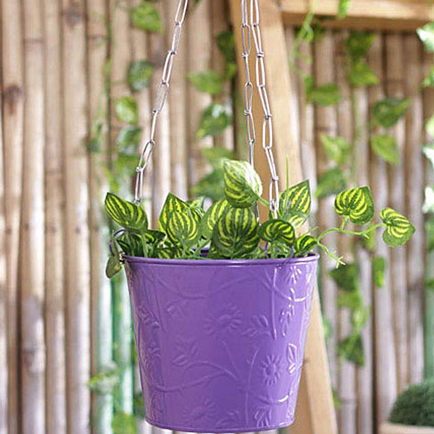 Purple Hanging Bucket Planter