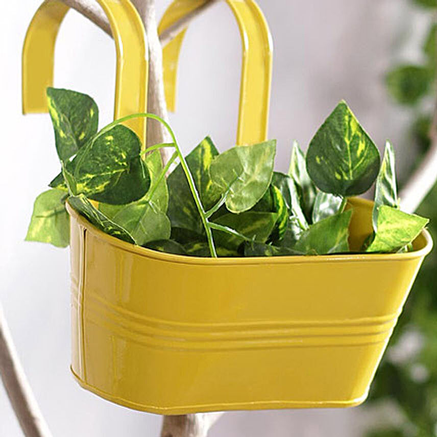 Yellow Oval Hanging Planter