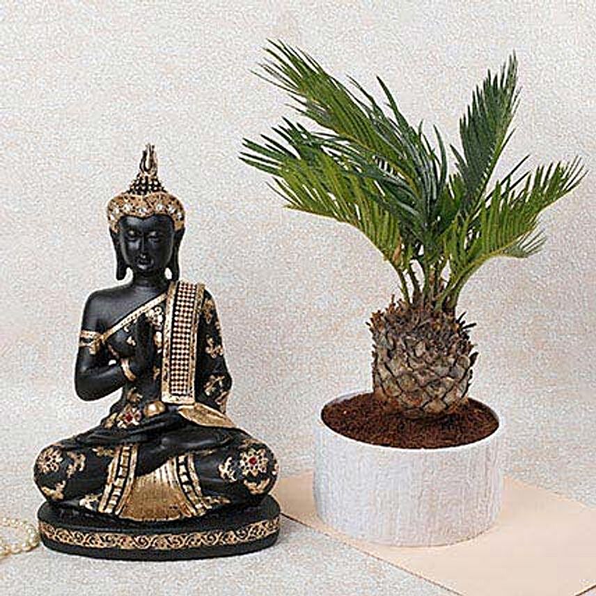 Decorative Cycus Plant With Lord Buddha