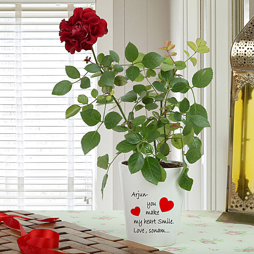 Personalised Red Rose Plant